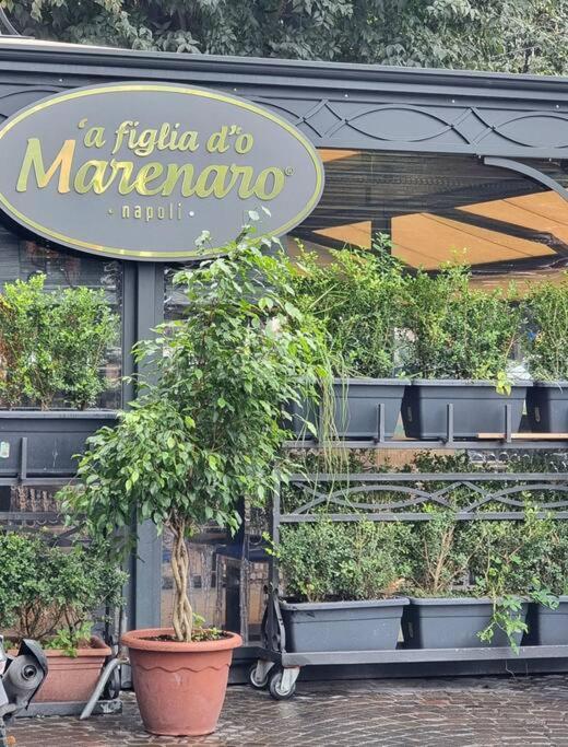 Casa Comoda E Centrale In Quartiere Storico Di Napoli Extérieur photo